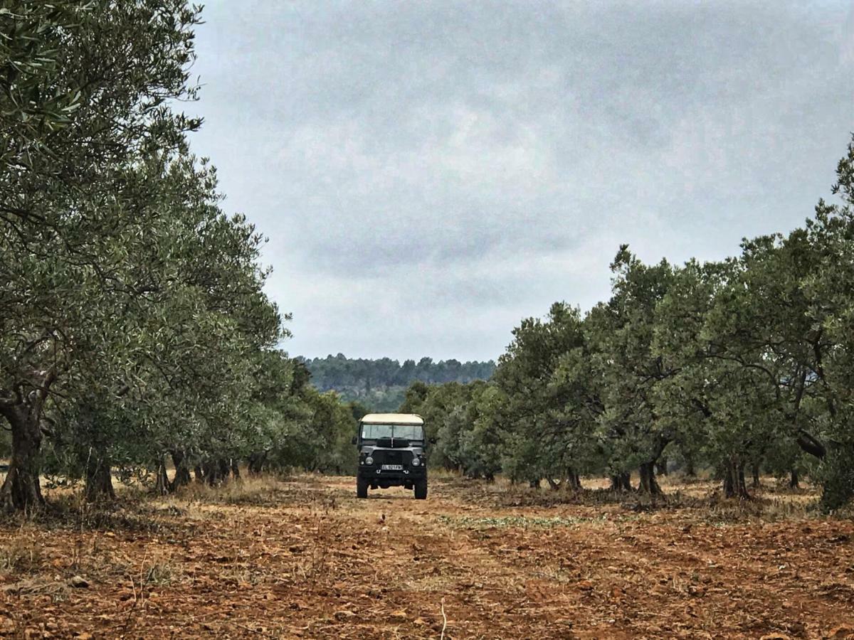 La Rabasse De Gallinette Aups Exterior foto